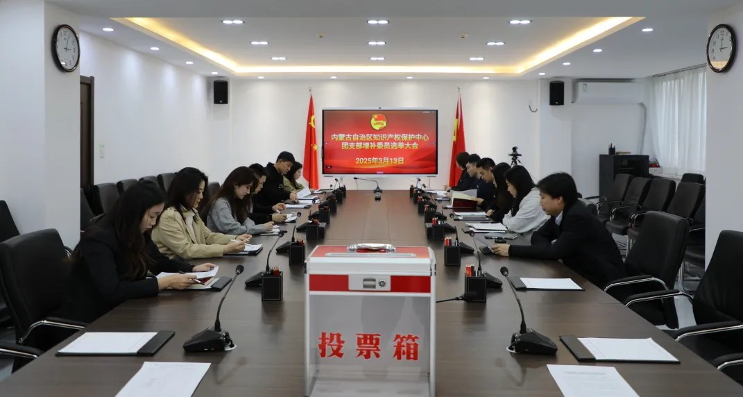共青团内蒙古自治区知识产权保护中心支部委员会召开增补委员选举大会